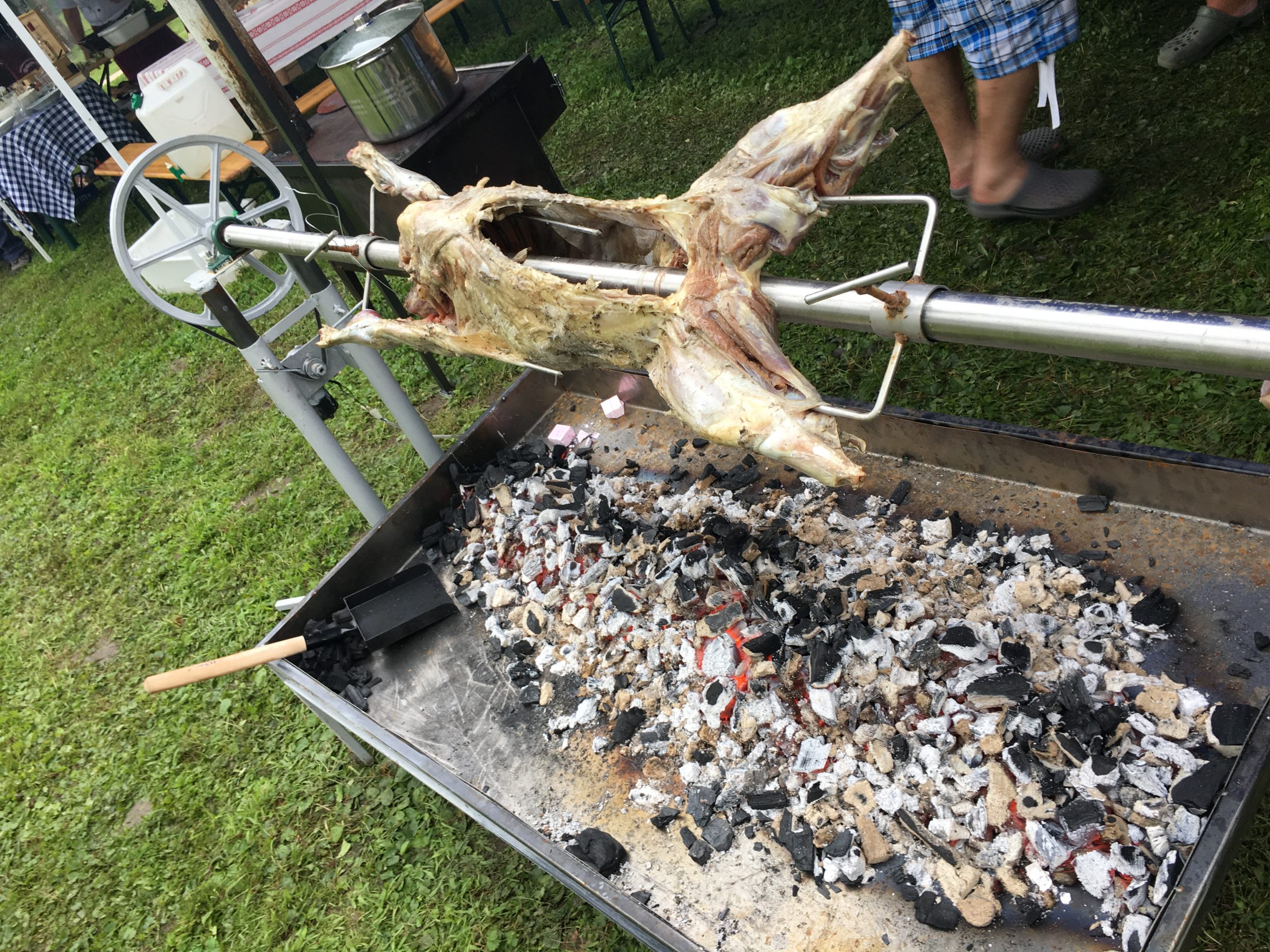 Elkezdődött a vásárhelyi strandbuli 3