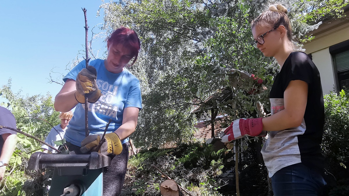 Már készítik a Szőnyi elsőseinek a helyet a Pávás-házban 2