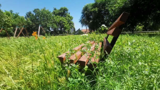 Panaszláda: térdig ér a fű a Kaszap utcai játszótéren! 4