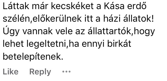 Szomorú valóságból keserédes poénrengeteg - Íme a nagybirka-mém körkép 9