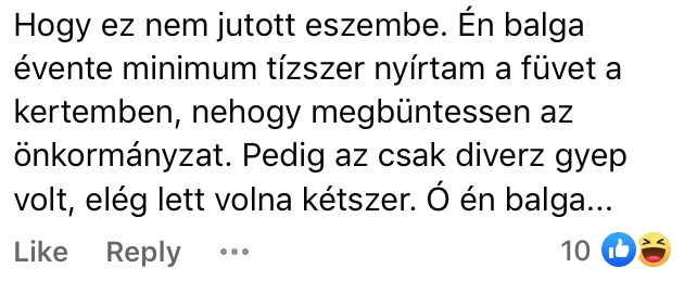 Szomorú valóságból keserédes poénrengeteg - Íme a nagybirka-mém körkép 10