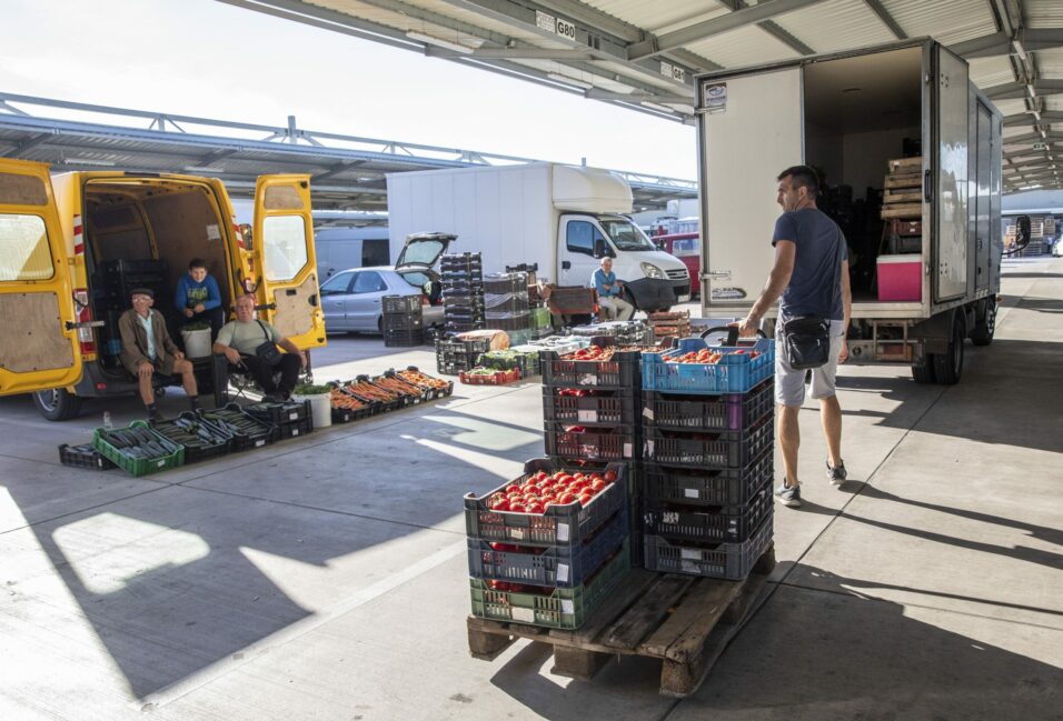 Több mint húszmilliárd forintos beruházássorozat indul a Homokhátságon