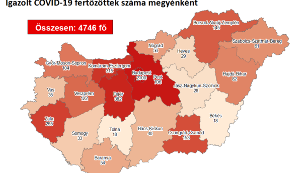 Egy új beteget találtak megyénkben