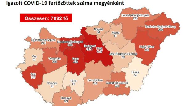 11 új fertőzöttet találtak megyénkben