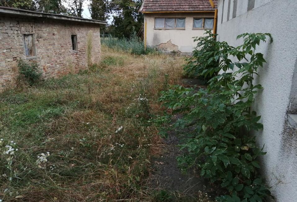 Benkő Zsolt: szembe jönnek velem az elhanyagolt helyek