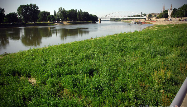 Szabadstrand-pályázat: Szeged 120 milliós támogatástól esik el