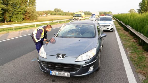 Halálos baleset történt az M5-ösön