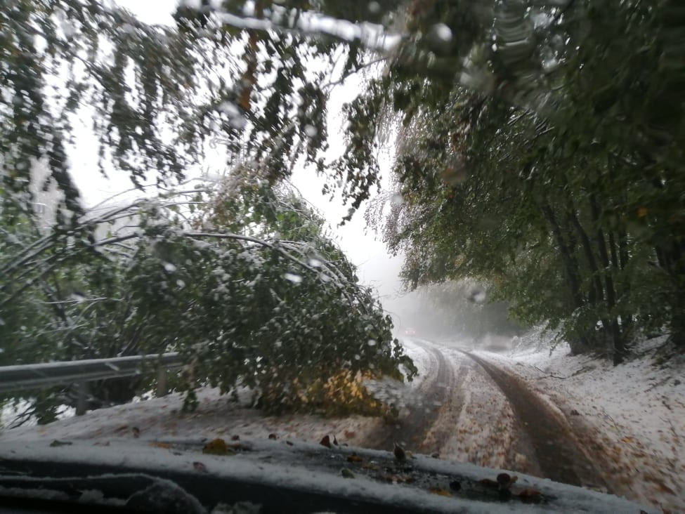 K&ouml;zleked&eacute;si fennakad&aacute;st &eacute;s &aacute;ramsz&uuml;netet okozott a havaz&aacute;s a M&aacute;tr&aacute;ban 1