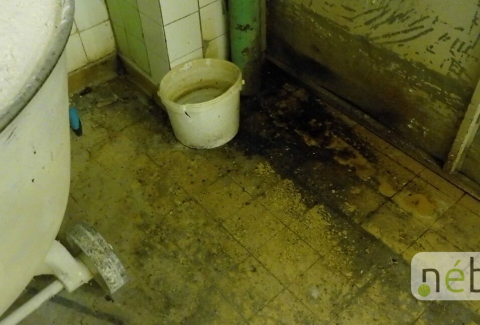 Felfüggesztették a csongrádi kenyérgyár működését!