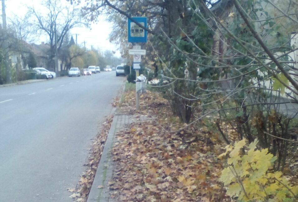 Olvasói levél: diverz buszmegálló közpénzből 3