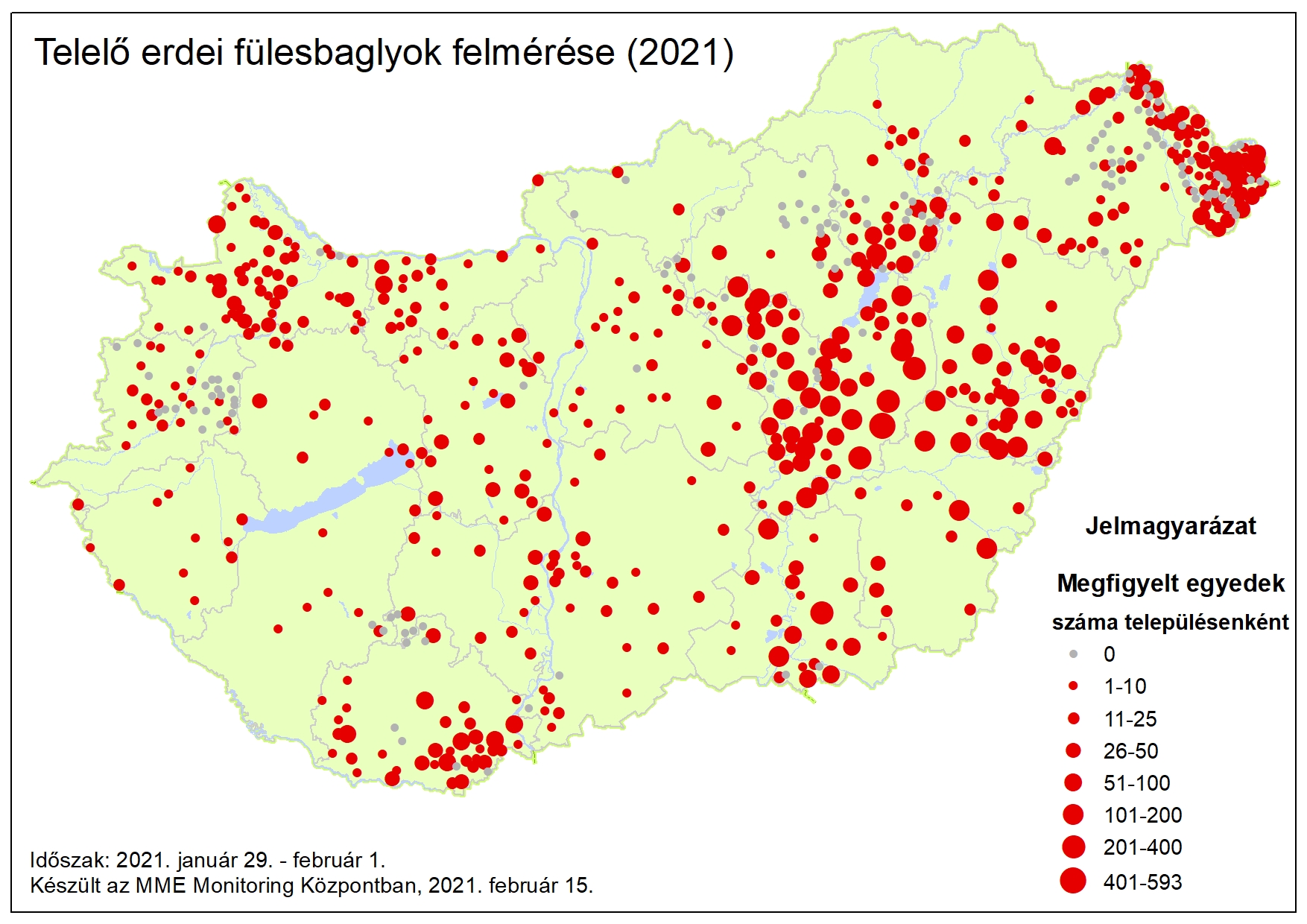 Elkészült a telelő erdei fülesbaglyok ez évi országos lakossági felmérésének összesítése 1