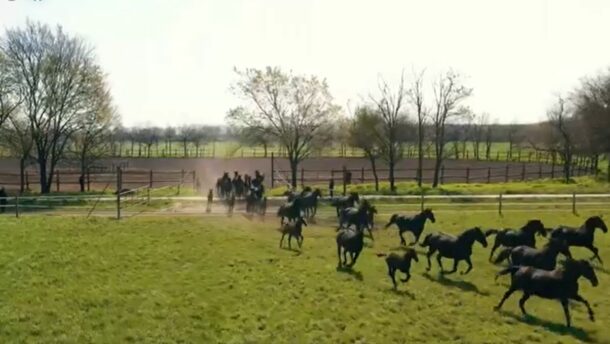 Gyönyörű videót osztott meg a ménesbirtokról Lázár János