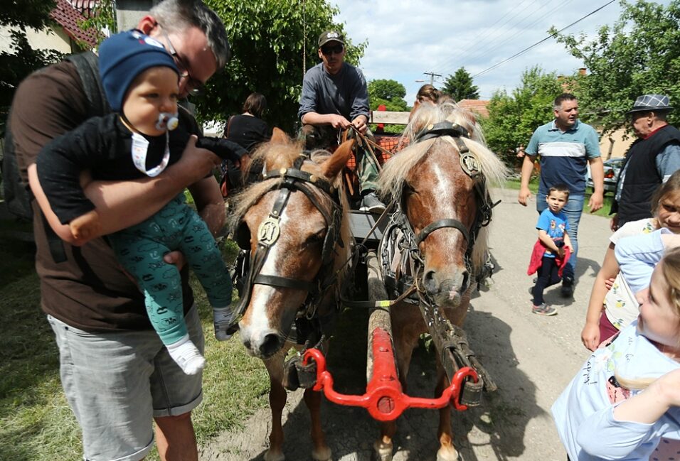 Gyermeknap a Csúcsi Olvasókörben 2