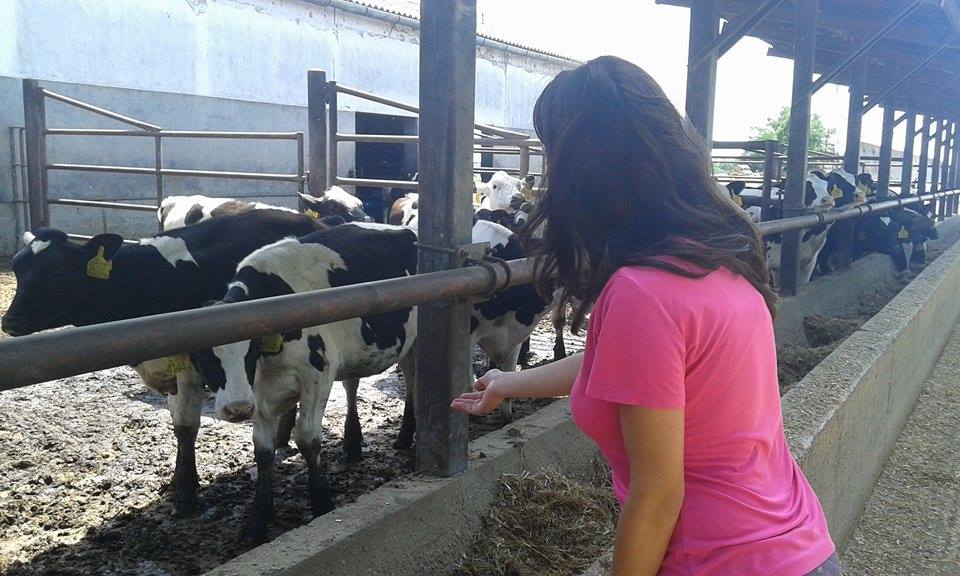 11694239_863587823678504_1429473251_n