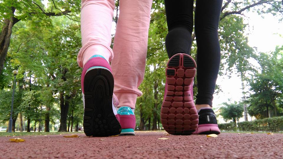 14238328_126949151092065_6172166803080690817_n