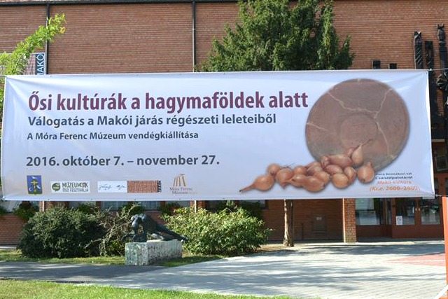 14355724_1336295126400379_5838738200710719105_n