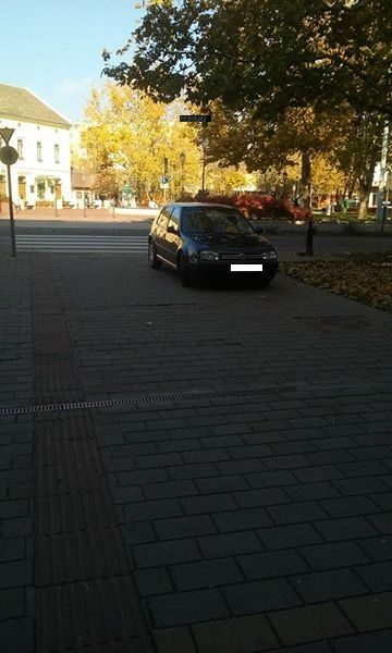 15094459_1234350776603265_589485992881076159_n